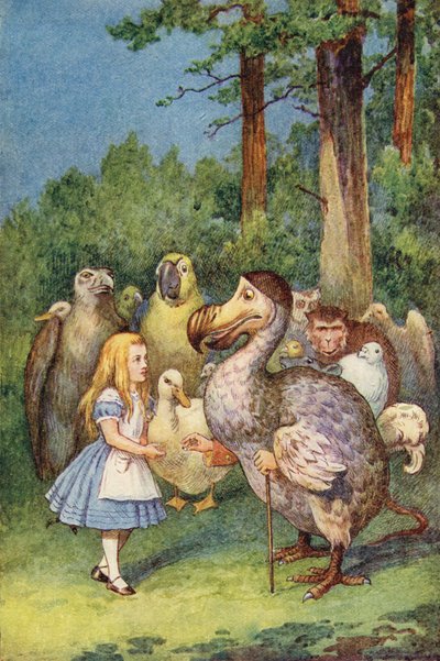 Der Dodo überreicht Alice einen Fingerhut (Farbstich) von John Tenniel
